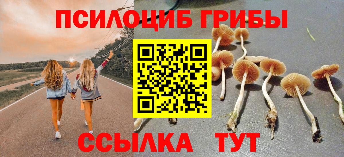 Псилоцибиновые грибы прущие грибы Волгоград