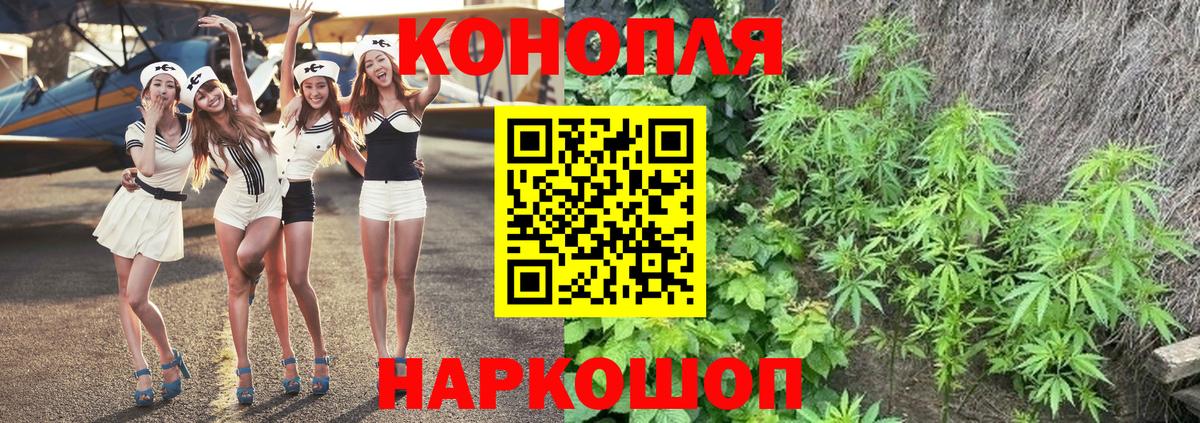Марихуана конопля Волгоград